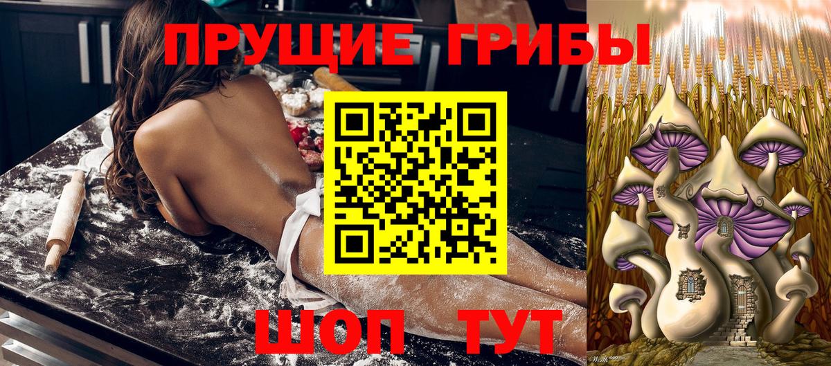 Усинск  Псилоцибиновые грибы MAGIC MUSHROOMS  Вход с VPN 